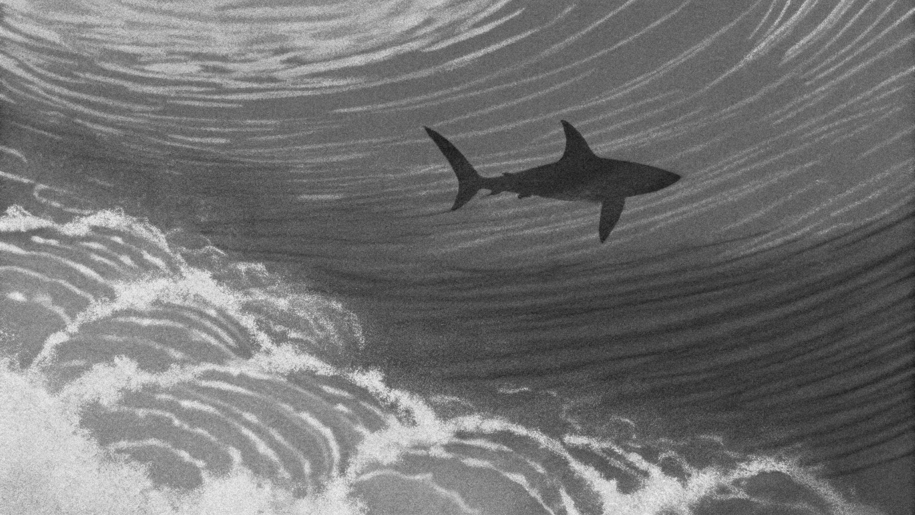 Illustration abstraite représentant la silhouette d'un requin face aux vagues océaniques, style presse sérieuse, sans texte, sans logo, sans visage reconnaissable, palette sobre, format paysage 3:2