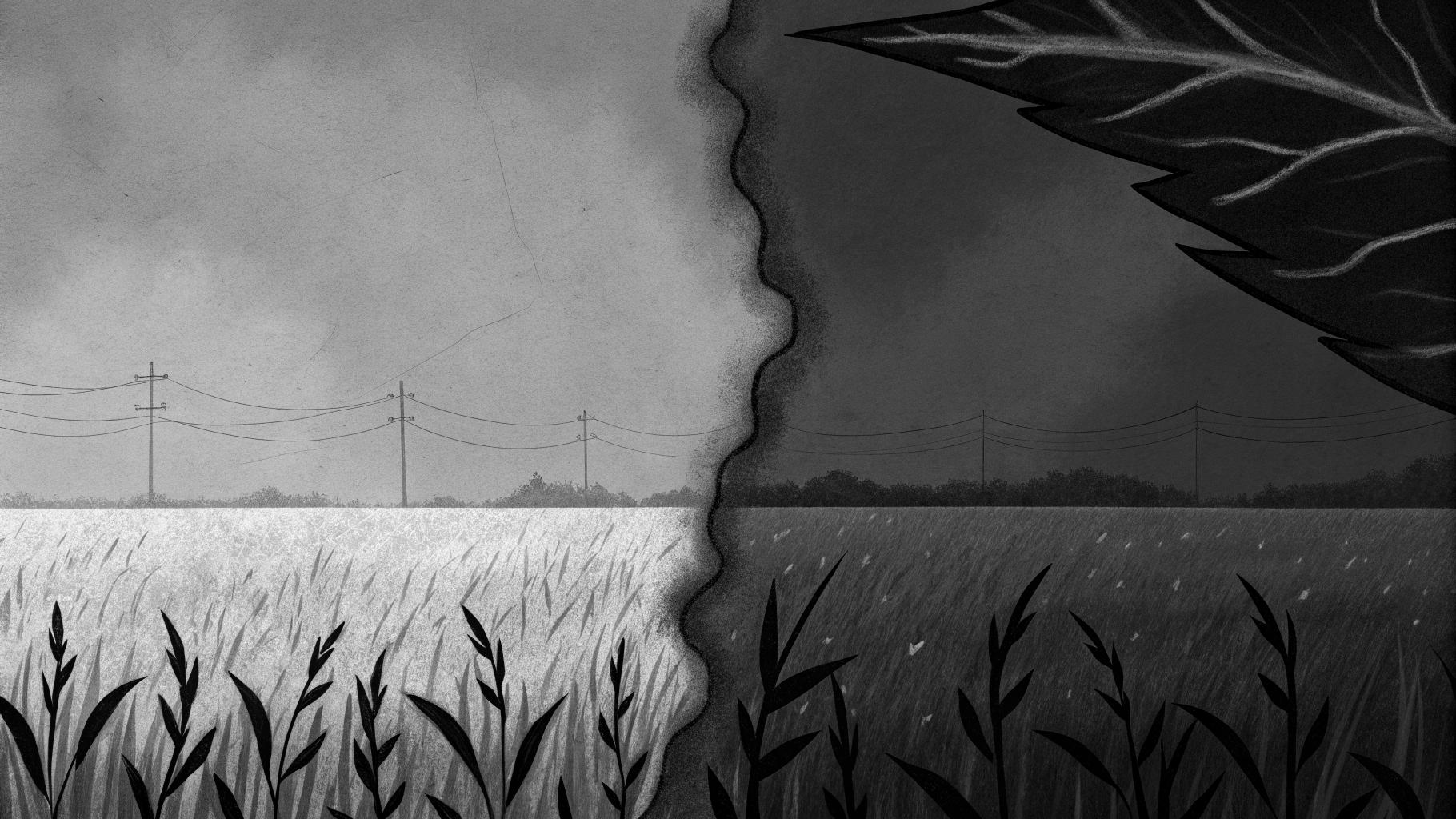 Illustration abstraite d’une tension entre transition écologique et agriculture