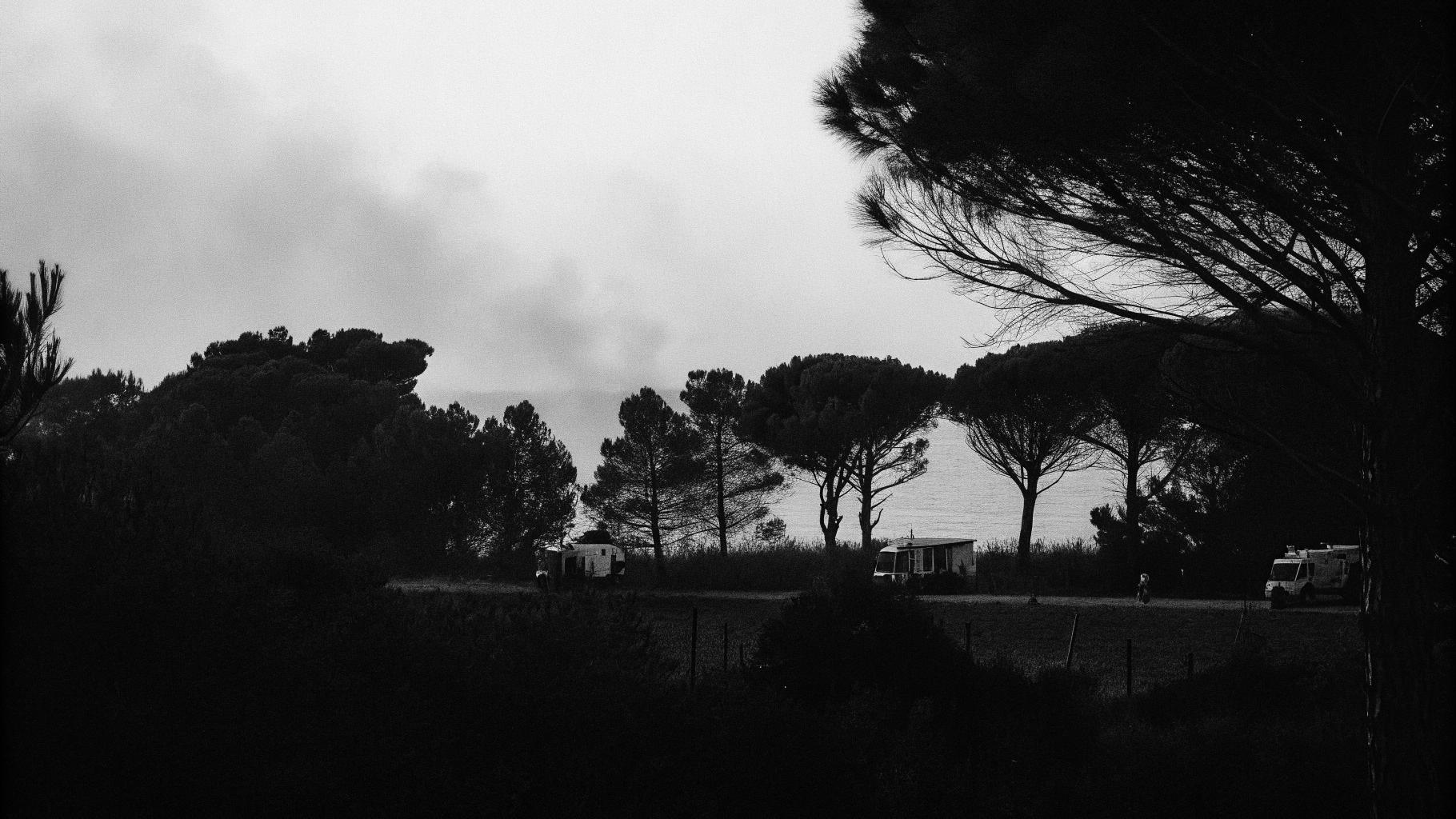 Illustration abstraite d’un incendie de forêt avec fumée au-dessus de massifs boisés et ambiance de crise