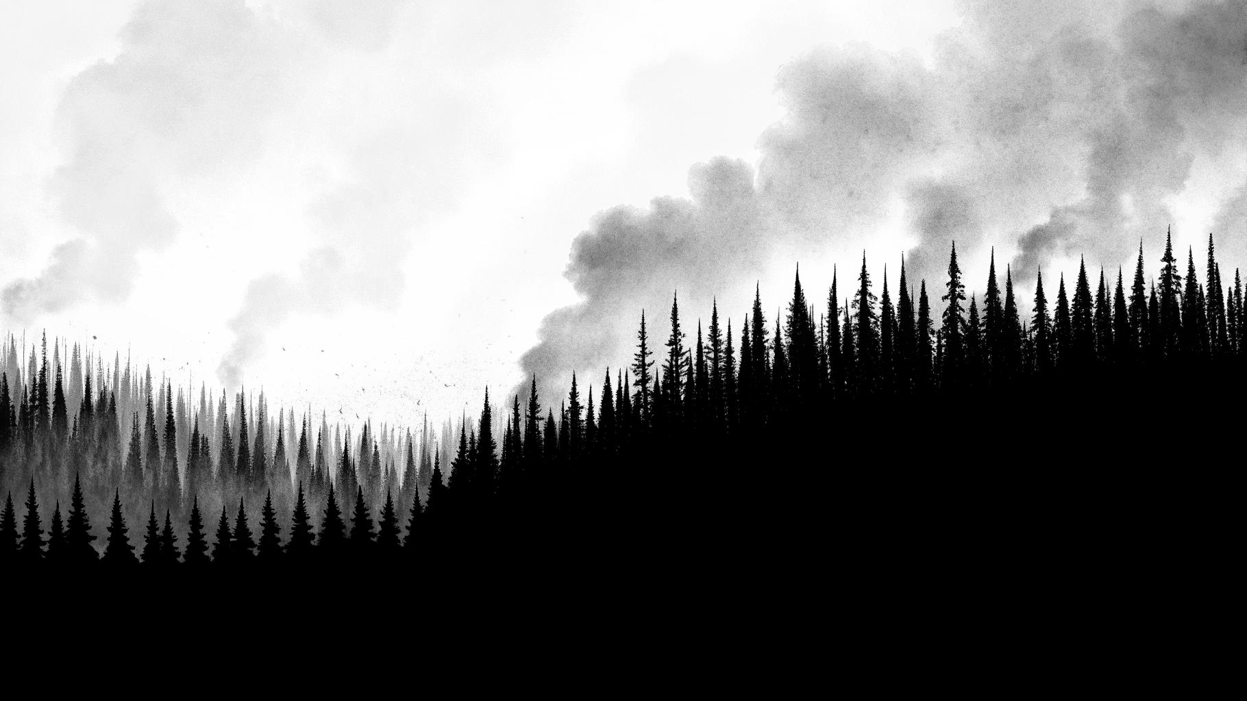 Paysage de forêt de pins partiellement brûlée avec fumée et traces d’intervention des secours