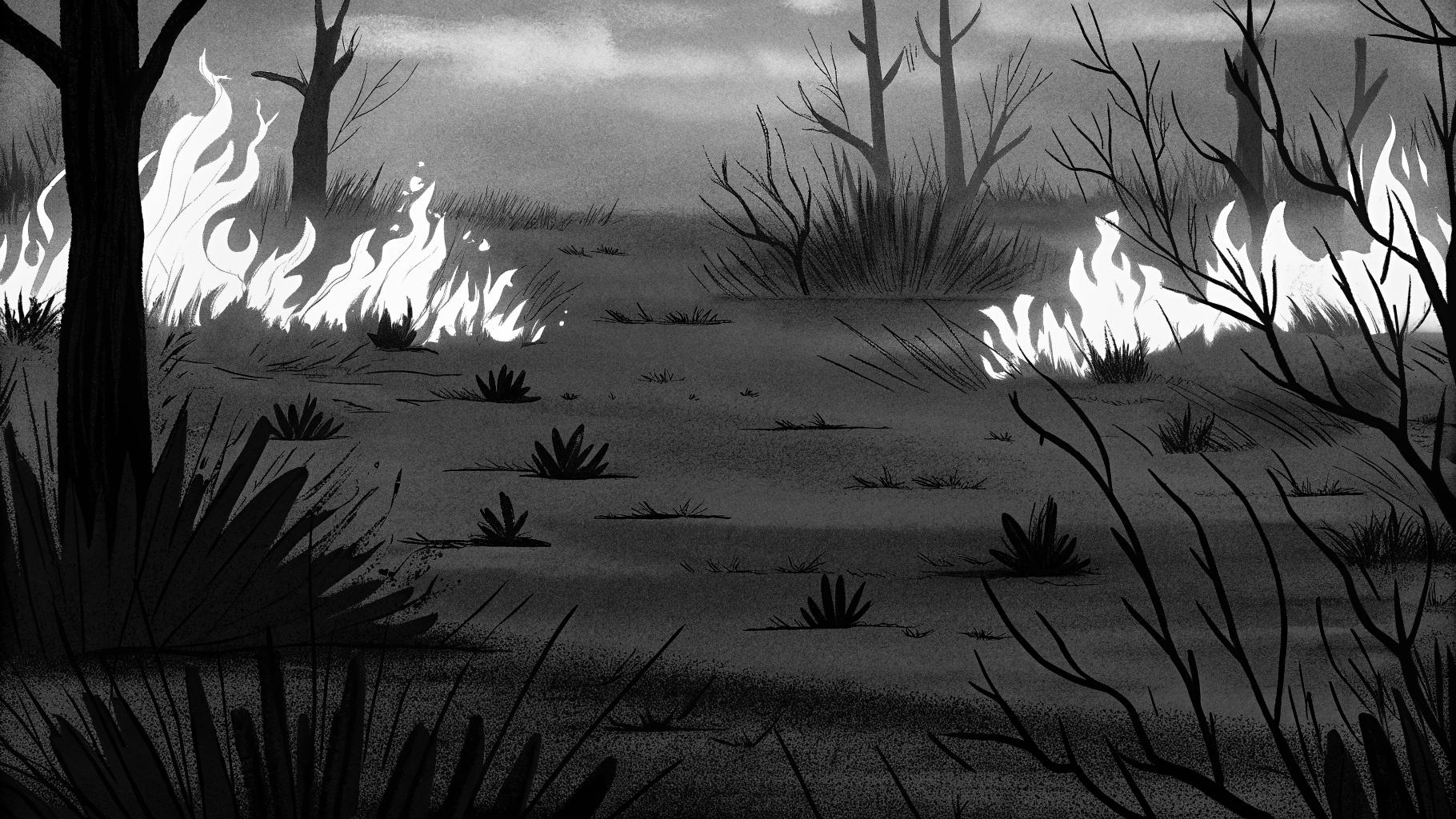 Illustration abstraite d'un paysage du sud de la France avec des flammes et de la végétation sèche, style presse sérieuse, sans texte ni logo, palette sobre, format paysage 3:2