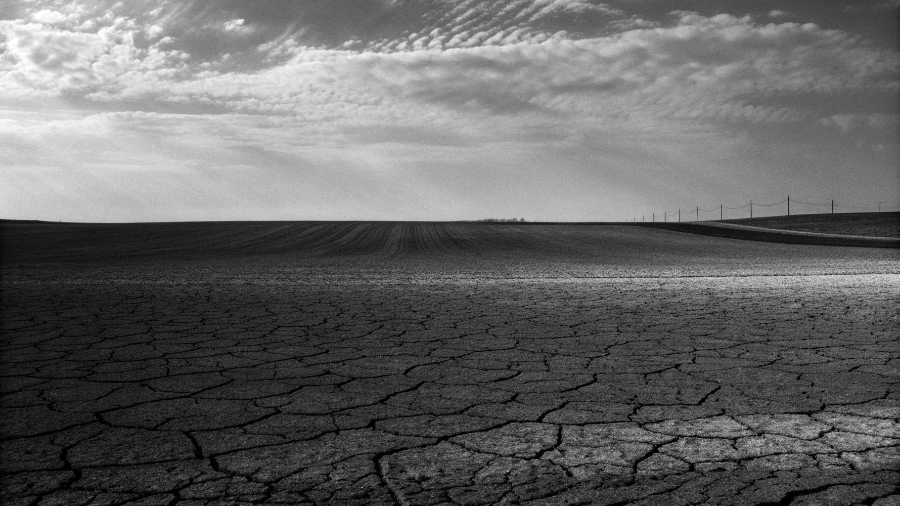 Champ agricole desséché sous un ciel d’été, symbole de la pression climatique sur les exploitations
