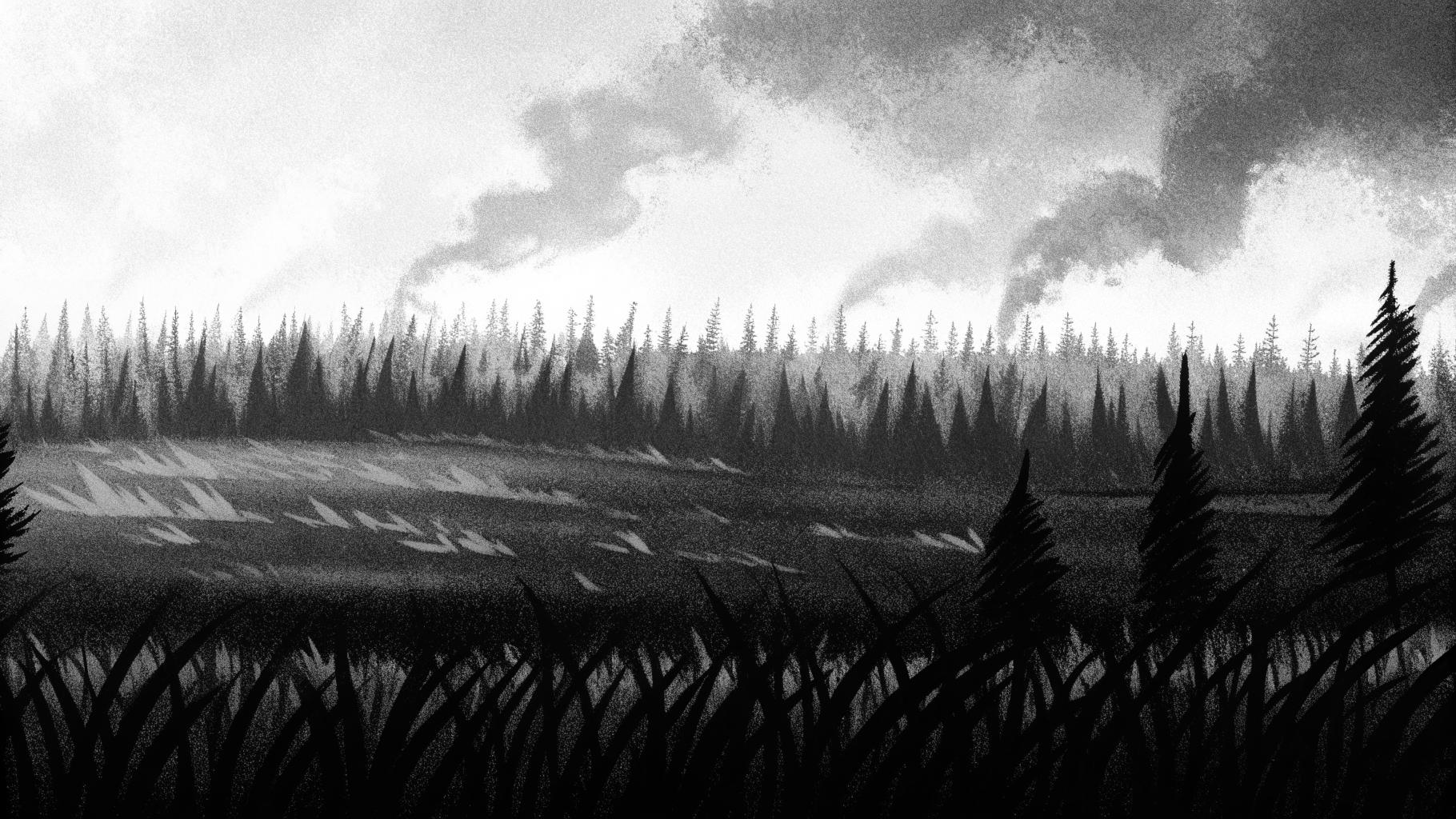 Forêt brûlée sous surveillance avec fumées discrètes et ambiance de crise estivale